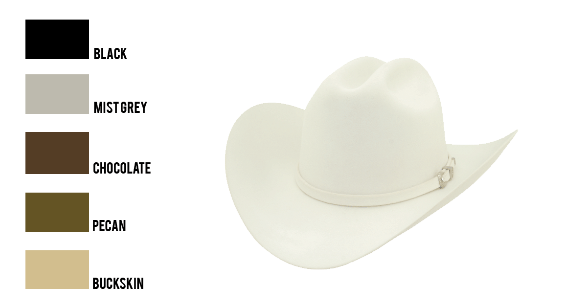 Twinstone 6X Fur Felt Joan Stlye Black Cowboy Hat – The Little Ranch