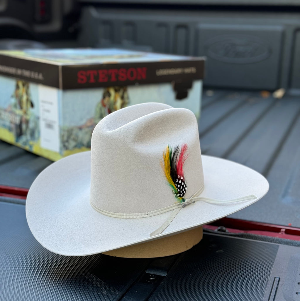 Color Texana Stetson Stetson Rancher 6X Silver Grey Felt Hat – The